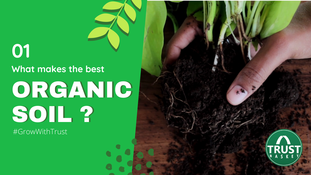 What is organic soil..?