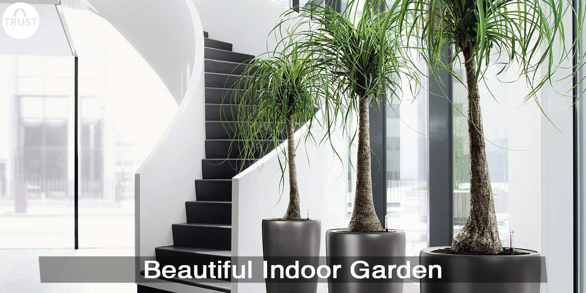 8 Tips to set up a Beautiful Indoor Garden