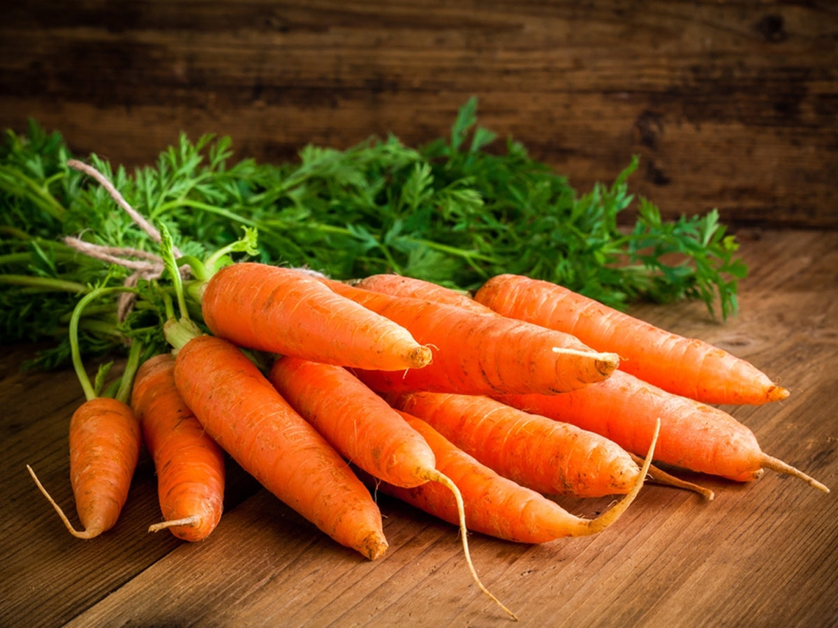 A Comprehensive Guide to Carrots: Facts, Benefits & How To Grow at Home