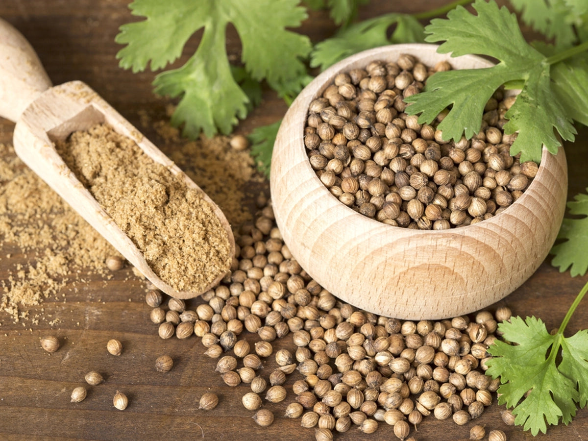 Some Unknown Benefits Of Coriander Seeds And How To Grow Them