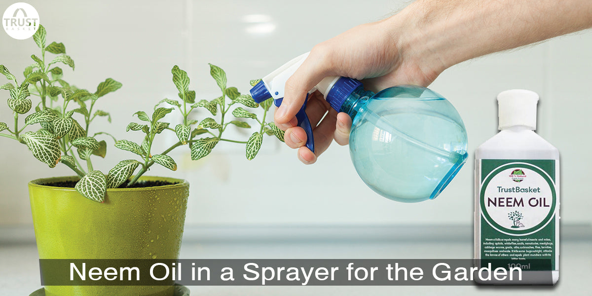 How to Use Neem Oil in a Sprayer for the Garden