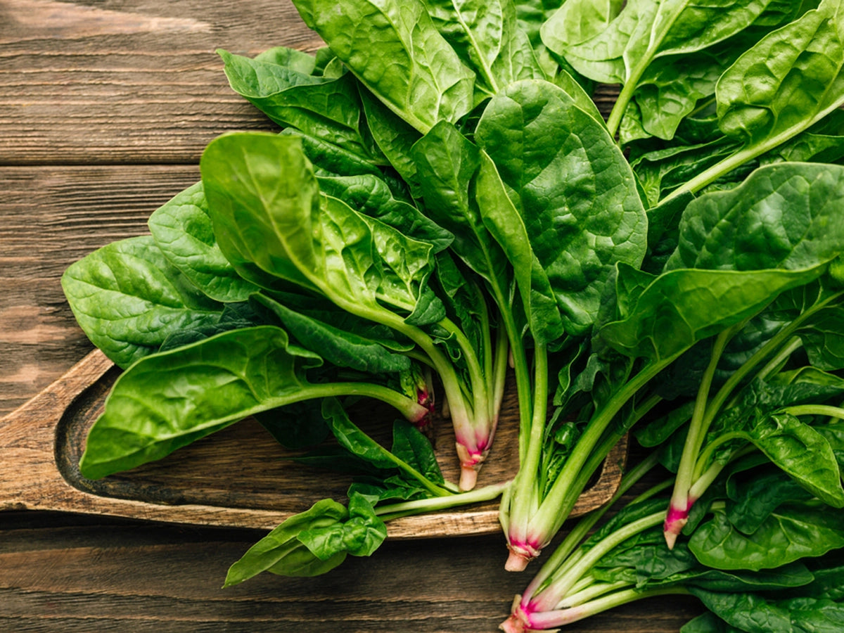 Spinach (Paalak): Mastering the Art of Growing and Caring for the Winter Kitchen's Gem