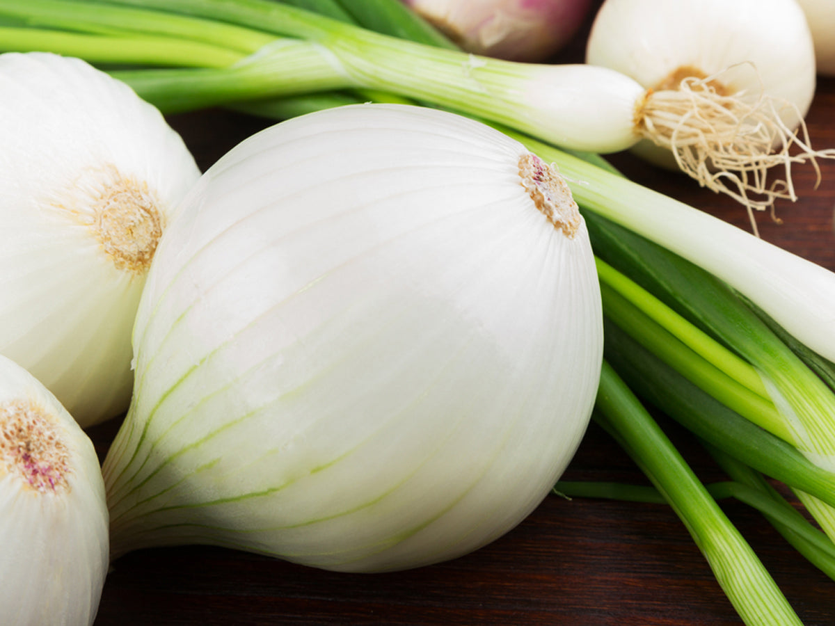 Benefits of white onion and how to grow them at home