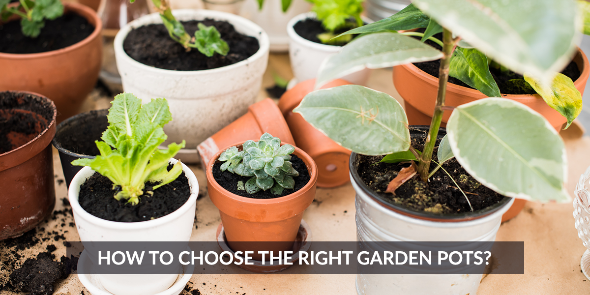 How to Choose the Right Garden Pots?