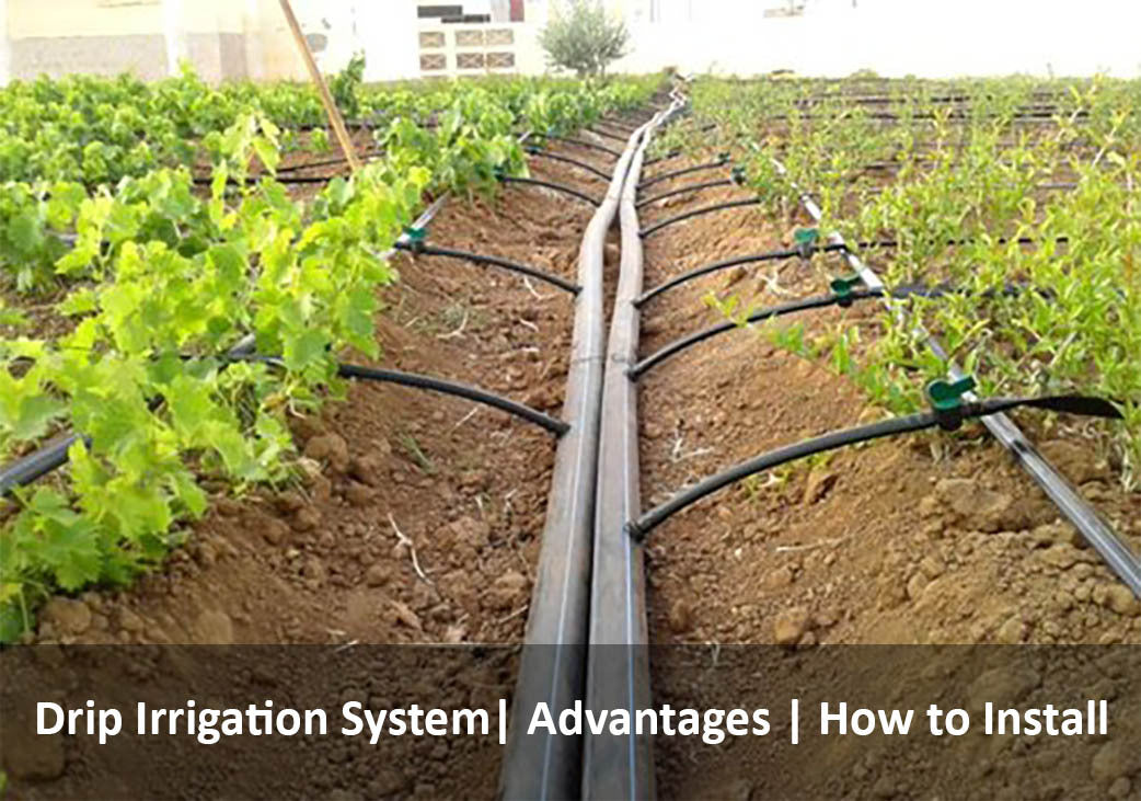 Drip Irrigation System | Installing | Types | for Garden | for Agriculture | Advantages