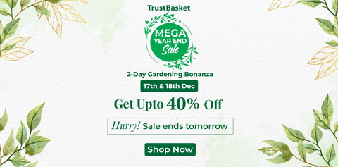 Mega Year End Sale with Best Sellers