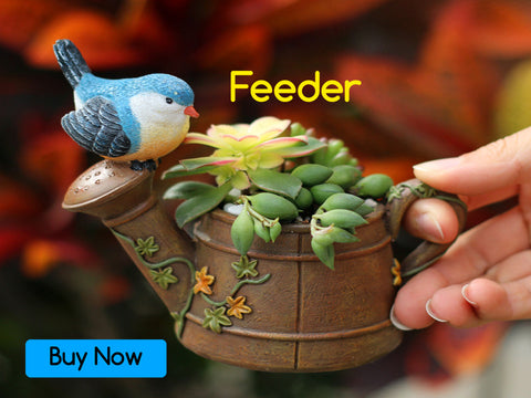 Buy Bird Feeders Online
