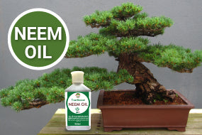 Neem Oil for Plants