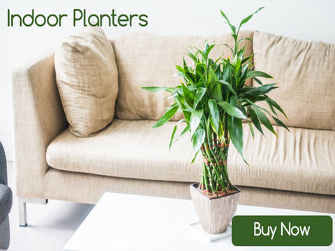 Best Indoor Plant Pots Online