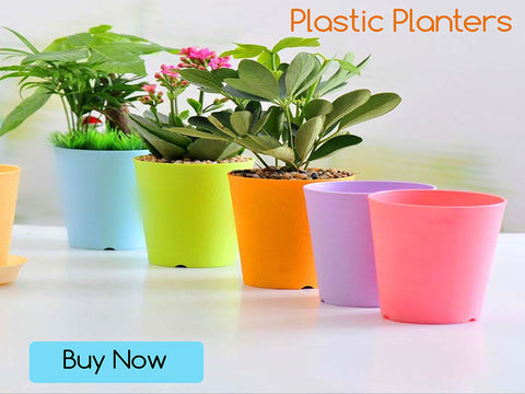Best Plastic Pots Online