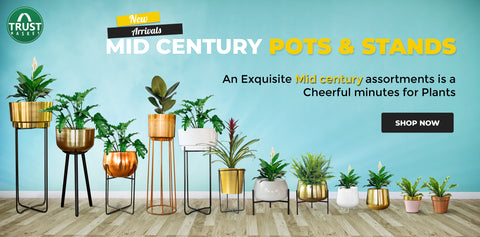 Mid Century Pots with Stands