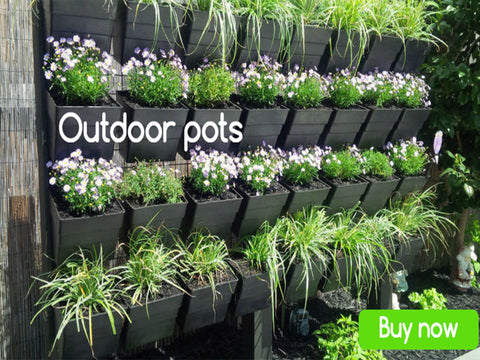 OUTDOOR PLANT POTS AND PLANTERS Online