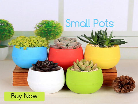 Best Small Pots Online