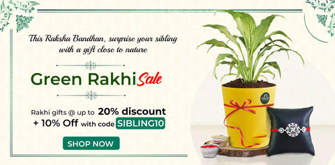 Curated Rakhi Gifts Online for your Sibling