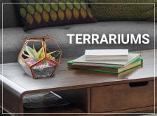https://www.trustbasket.com/collections/under-rs-299/products/premium-pot-stand-for-plants?variant=1058114437132