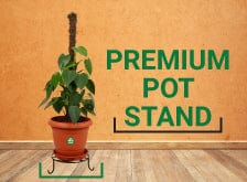 https://www.trustbasket.com/collections/under-rs-299/products/premium-pot-stand-for-plants?variant=1058114437132