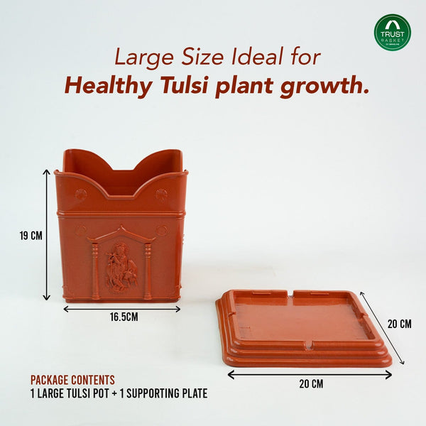 ideal pot size for tulsi plant Tulsi Pot – 8 inches PPE Material – TrustBasket