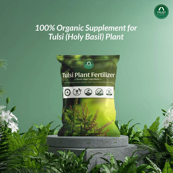 fertilizer for tulsi plant Tulsi Fertilizer