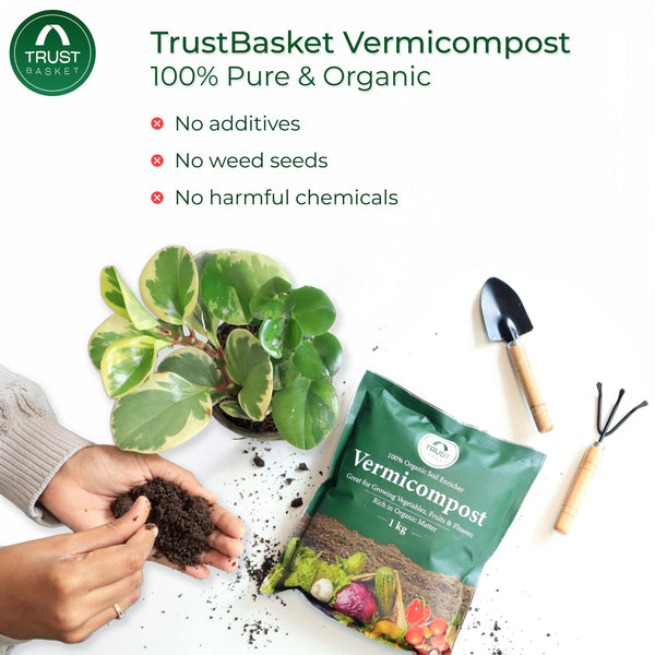 vermicompost for succulents Vermicompost