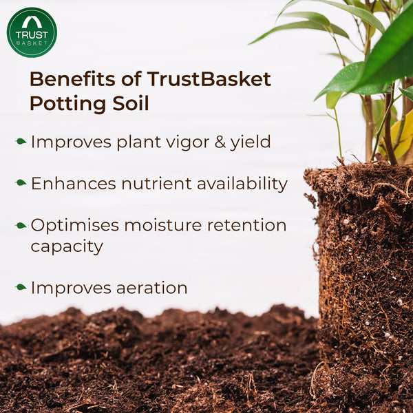 benefits of potting mix TrustBasket Enriched Organic Earth Magic Potting Soil (5kg) + Heavy Du