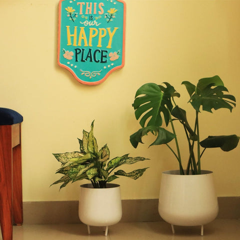 Best Indoor Plant Pots Online - Jalsa Planter (Set of 2)