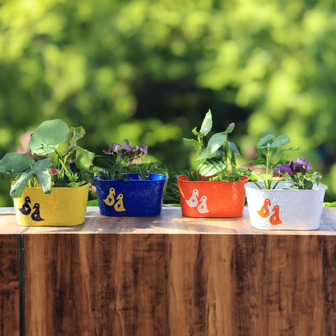 Best Indoor Plant Pots Online - Duck Designer Oval Railing Planters