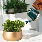 Watering Can - Small