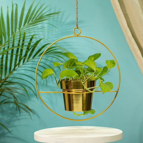 Colorful Designer made planters - TrustBasket Luna Metal Hanging Planter
