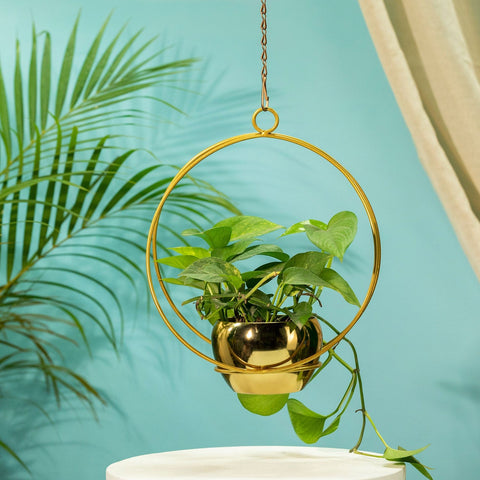 All containers - TrustBasket Lunar Eclipse Metal Hanging Planter