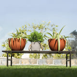 TrustBasket Flourish Stand