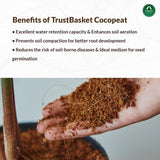 5-in-1 Potting Mixture- Makes 10Kg Soil Less Mix