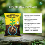 5-in-1 Potting Mixture- Makes 10Kg Soil Less Mix