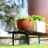 TrustBasket Flourish Stand