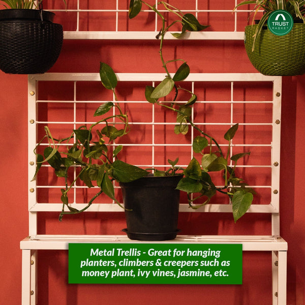 money plant climber ideas TrustBasket Eden Plant Stand with 3-Tier Shelves, Trellis for Climbing