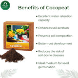 COCOPEAT BLOCK - EXPANDS TO 225 LITRES OF COCO PEAT POWDER (Set of Three 5kg blocks)