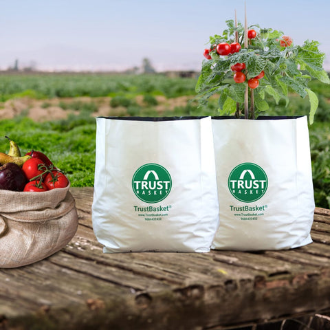 Plastic garden Pots - TrustBasket UV Treated Poly Grow Bags for Terrace Gardening