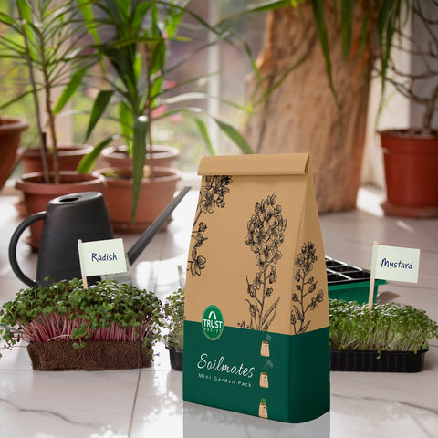 Best Vegetable & Gardening Kit in India - Soilmates Mini Garden Pack