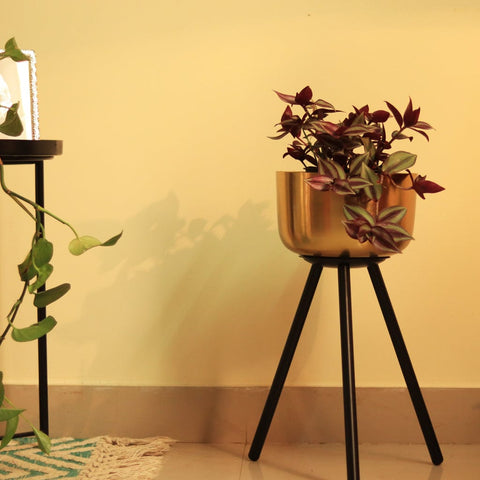 Best Metal Flower Pots in India - Marcel Planter Stand