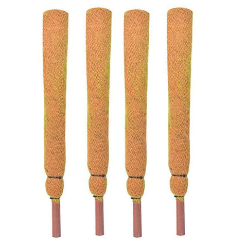Gardening Plant Supporter - 2 Feet Coir Moss Stick/Coco Pole for Climbing Indoor Plants (Set of 4)