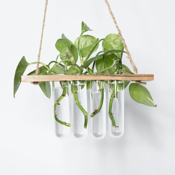 test tube plant hanger Test Tube Planter