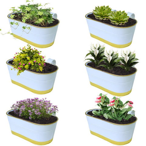 Colorful Designer made planters - TrustBasket 12 inches Railing Planters for Balcony, outdoor oval metal plant pots for railing, pack of 6 (White & Gold colour)