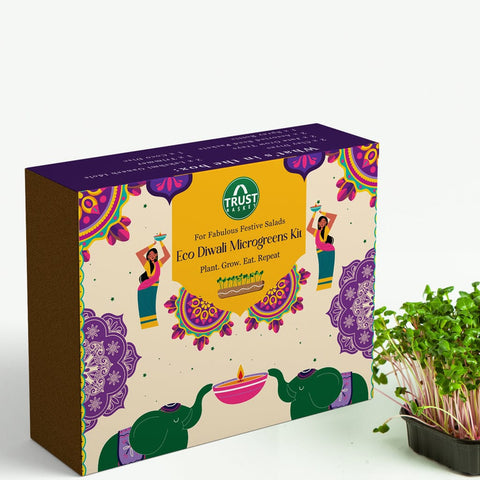 Best Vegetable & Gardening Kit in India - Eco-Diwali Microgreens Kit - Festive Gift Box for Diwali