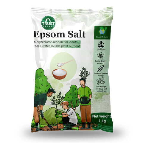 Best Plant Food Products in India - Epsom Salt