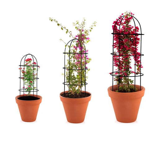 Valentine Gardening Bonanza - TrustBasket Obelisk trellis for Plant Support - Set of 3