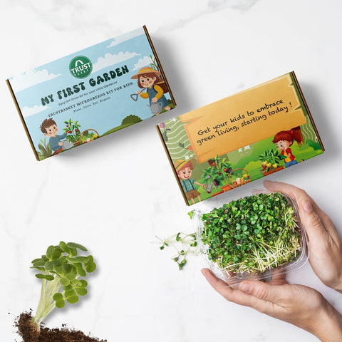 Vegetable gardening kits for Beginers - My First Garden Microgreens Kit for kids