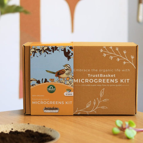 Grow Kits - Homegrown Microgreens Kit