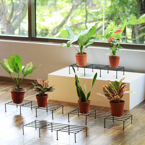 Curated Collection - Indigo Planter Stand for Plants