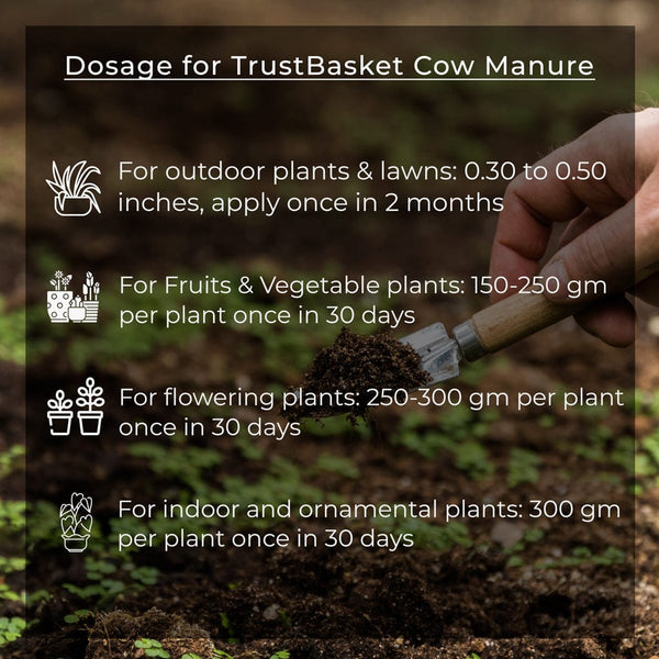 is cow manure good for potted plants TrustBasket Cow Manure for Plant