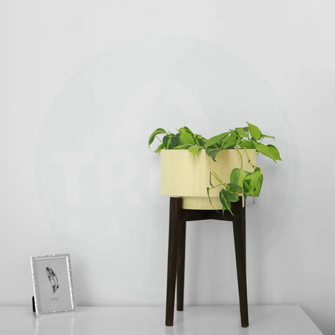 Best Metal Planters in India - Costa Mid Century Stand with Pot