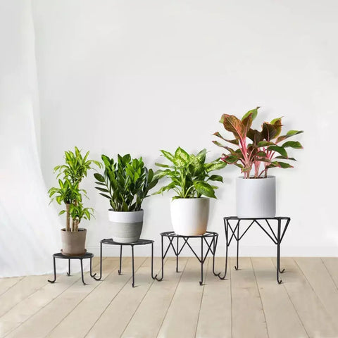Buy Best Plant Stands Online - TrustBasket Aesthetic Planter Stands(Set of 4)